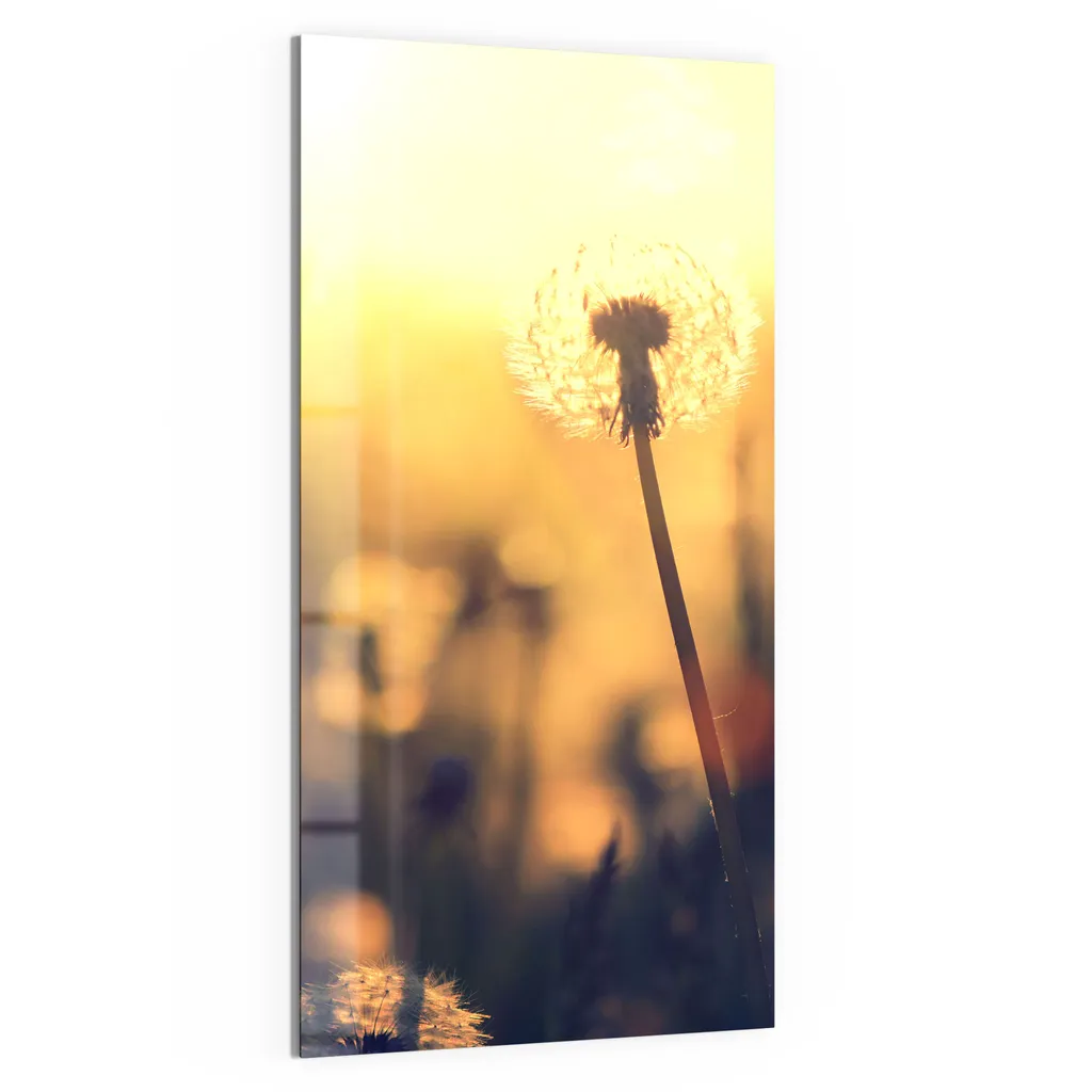 DEQORI Magnettafel Glas 50x100 cm 'Pusteblumenwiese' beschreibbar Whiteboard